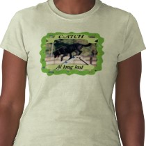 Agility Title Photo T Shirt Cust Customized