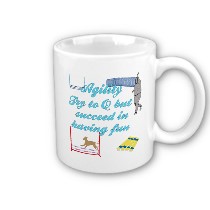 Succeed In Fun Mug