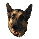 GSD